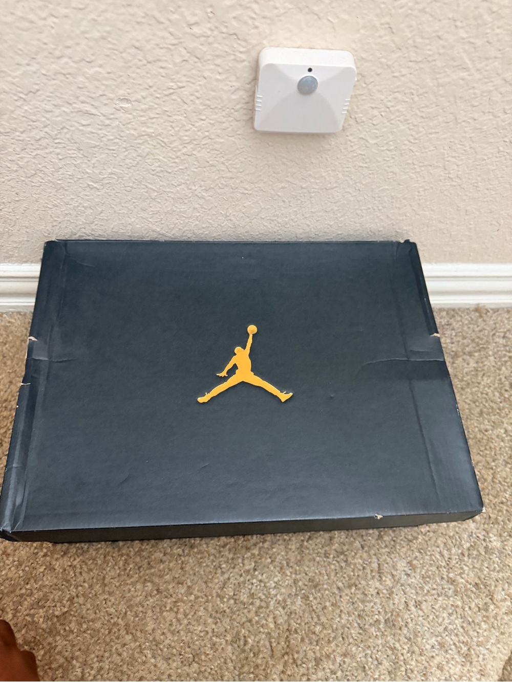Jordan 6 rings